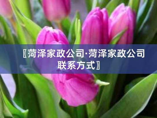 菏澤家政公司 一站式室內(nèi)外裝飾裝修與維修工程解決方案